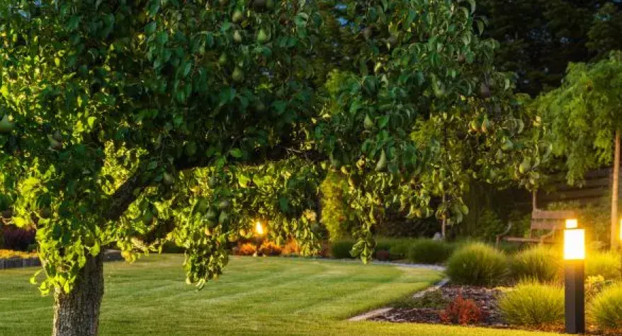 Garden Lighting & Outdoor Power - Dorridge & Solihull Electricians You Can Trust 